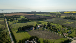 Finca del Sacramento